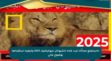 «استمتع مجانًا» تردد قناة ناشيونال جيوغرافيك 2025 وكيفية استقبالها بوضوح عالي